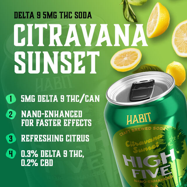 Habit High Five Citravana Sunset 5MG Delta 9 THC Soda (3)