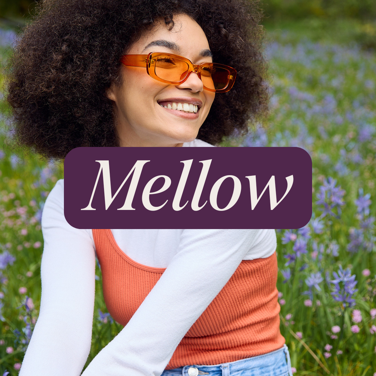 Wyld Blackberry Lemon THC Sparkling Water — Mellow (2)