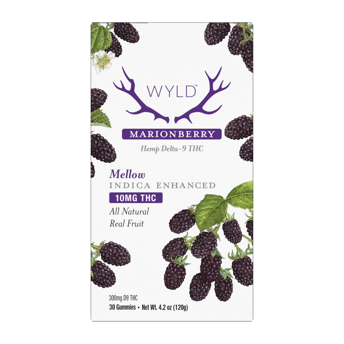 Wyld Marionberry (Indica) THC gummies 10mg 30ct