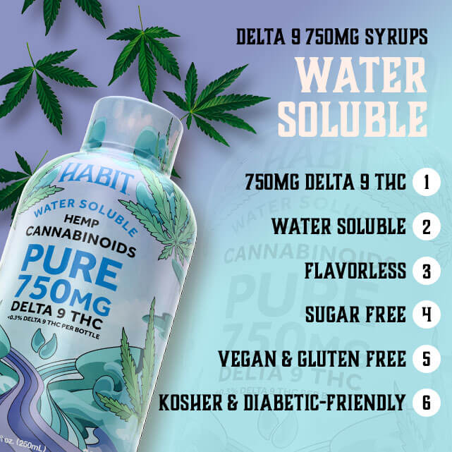 Habit 750mg Delta 9 THC Syrup – Pure Syrup (3)